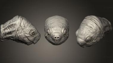 3D model Turtle Head (STL)